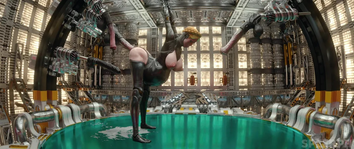 Orqa tomondan mushukning surati